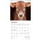 Baby Moo Moos | 2026 7 x 14 Inch (Hanging) Monthly Mini Wall Calendar